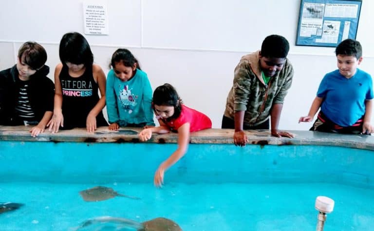 Field Trip to Tarpon Springs Aquarium