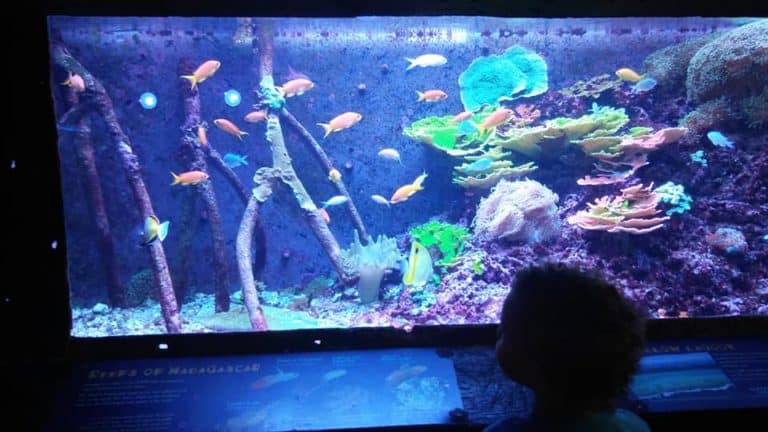 Marine Biology Week