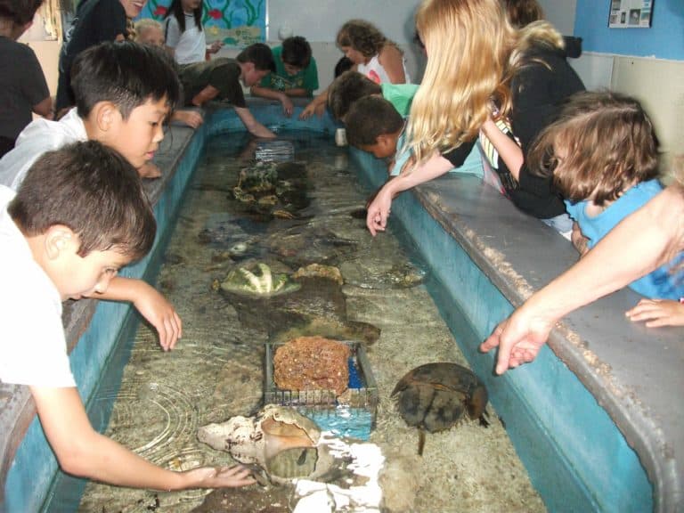Marine Biology Week at Summer Camp a Big Hit!