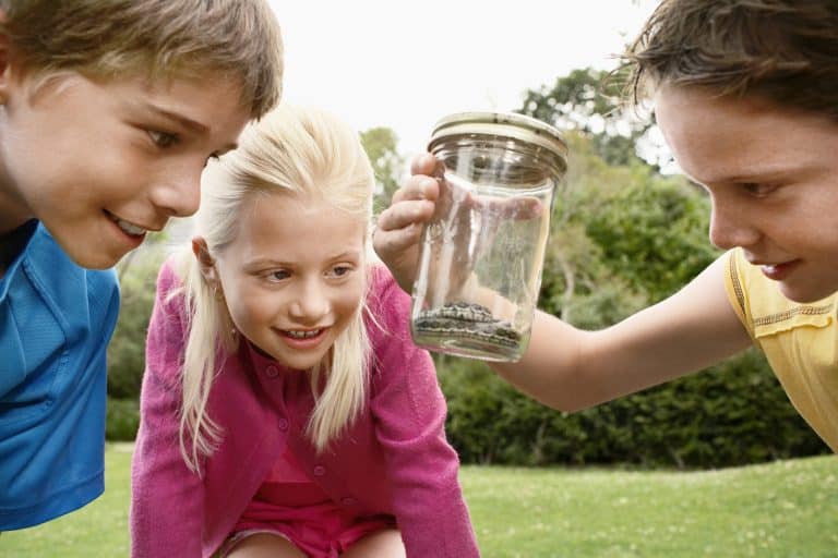 FOSTERING CURIOSITY AND EAGERNESS TO LEARN