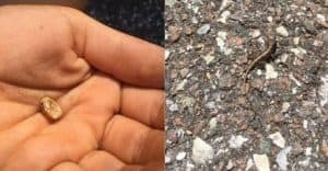 Fun Adventure of the Day!