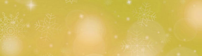 Our Holiday Ideas – 2020