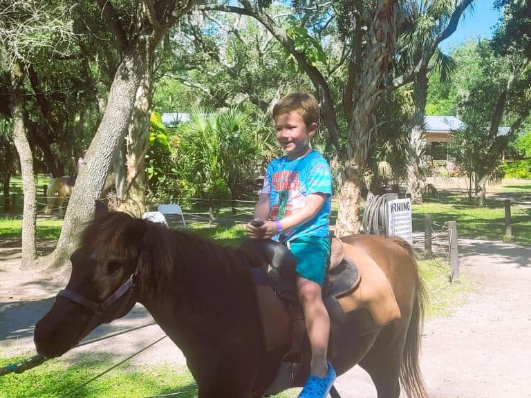 HorsePower for Kids field trip! Click for more pics.