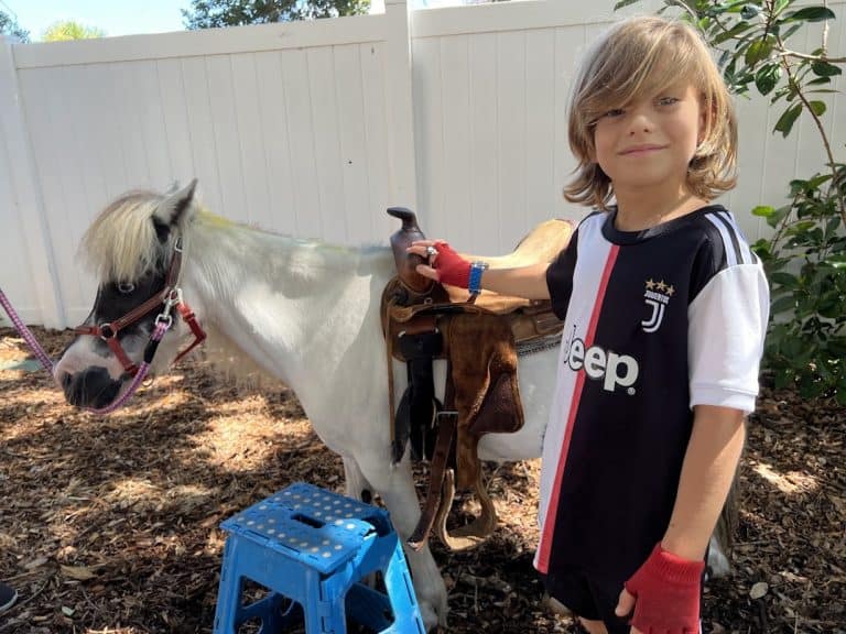 Petting Zoo for Animals Week in Summer Camp