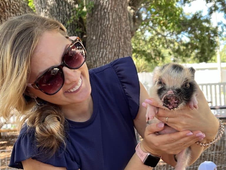 Piglets join the Petting Zoo!